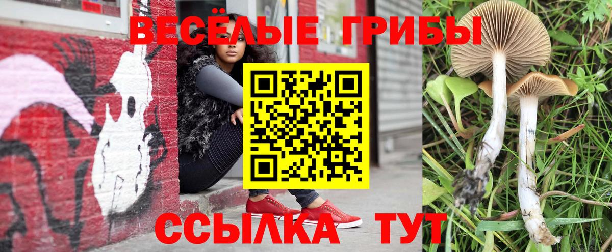 Черногорск  Галлюциногенные грибы MAGIC MUSHROOMS  Вход с VPN  Псилоцибиновые грибы прущие грибы 